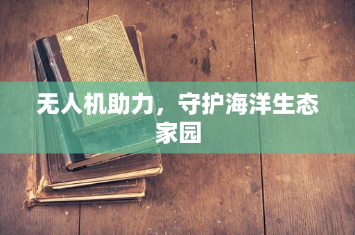 无人机助力，守护海洋生态家园