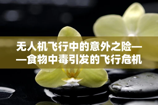 无人机飞行中的意外之险——食物中毒引发的飞行危机
