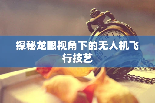 探秘龙眼视角下的无人机飞行技艺