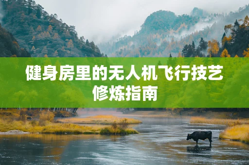 健身房里的无人机飞行技艺修炼指南