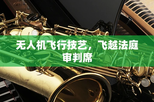无人机飞行技艺，飞越法庭审判席