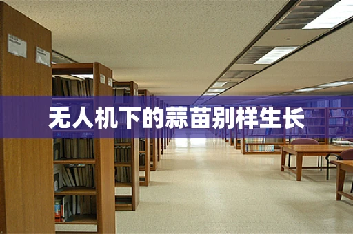无人机下的蒜苗别样生长