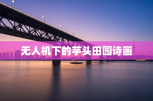 无人机下的芋头田园诗画