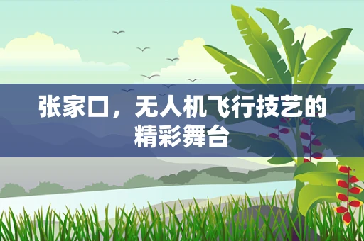 张家口，无人机飞行技艺的精彩舞台