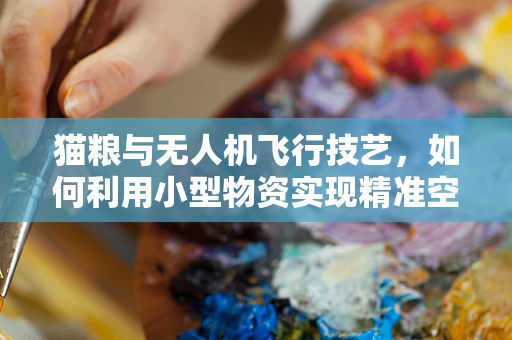 猫粮与无人机飞行技艺，如何利用小型物资实现精准空中投放？