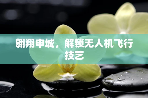 翱翔申城，解锁无人机飞行技艺