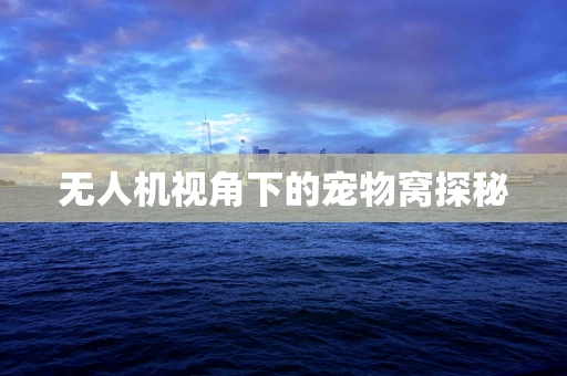无人机视角下的宠物窝探秘