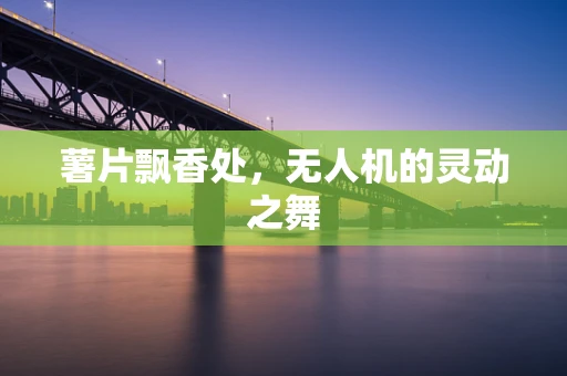 薯片飘香处，无人机的灵动之舞