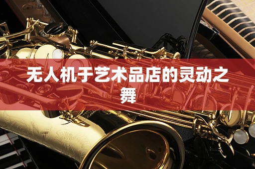 无人机于艺术品店的灵动之舞