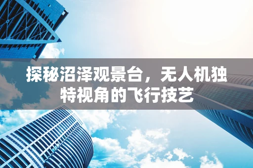 探秘沼泽观景台，无人机独特视角的飞行技艺