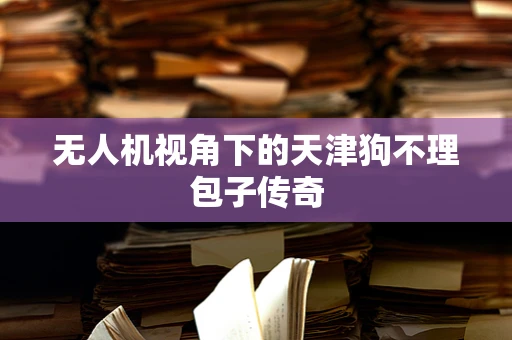 无人机视角下的天津狗不理包子传奇