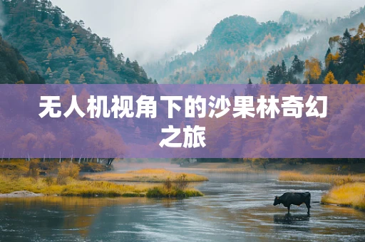 无人机视角下的沙果林奇幻之旅