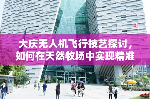 大庆无人机飞行技艺探讨，如何在天然牧场中实现精准作业？