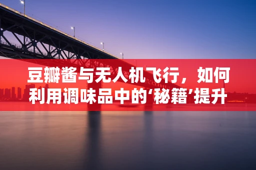 豆瓣酱与无人机飞行，如何利用调味品中的‘秘籍’提升飞行技艺？