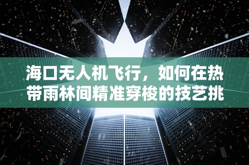 海口无人机飞行，如何在热带雨林间精准穿梭的技艺挑战