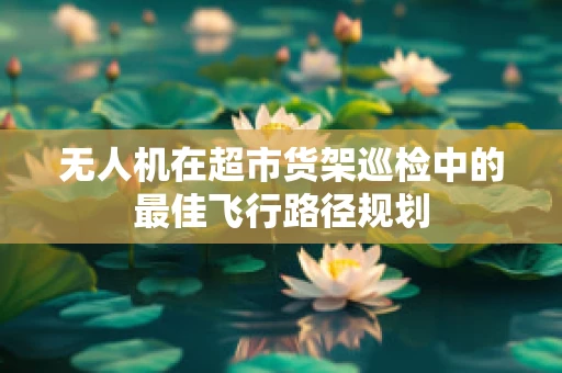 无人机在超市货架巡检中的最佳飞行路径规划