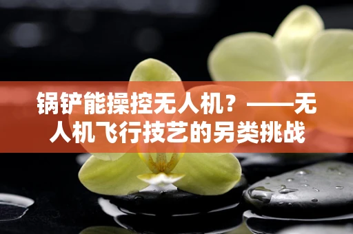 锅铲能操控无人机？——无人机飞行技艺的另类挑战
