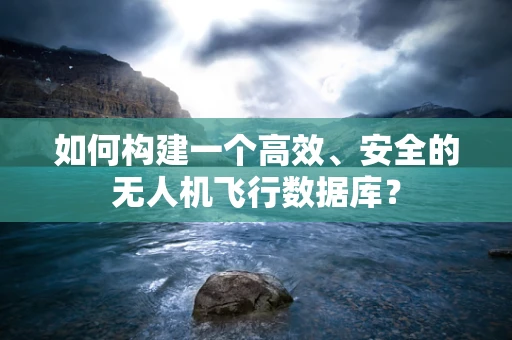 如何构建一个高效、安全的无人机飞行数据库？