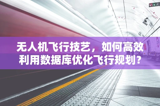 无人机飞行技艺，如何高效利用数据库优化飞行规划？