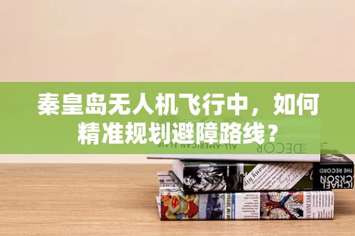 秦皇岛无人机飞行中，如何精准规划避障路线？