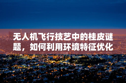 无人机飞行技艺中的桂皮谜题，如何利用环境特征优化飞行路径？