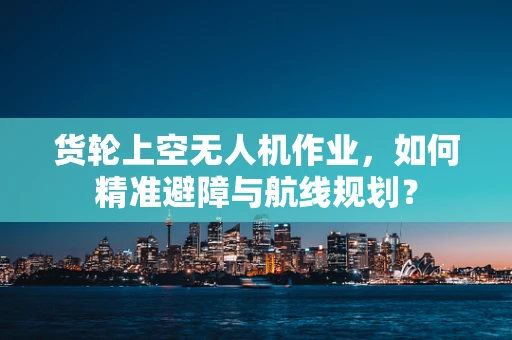 货轮上空无人机作业，如何精准避障与航线规划？