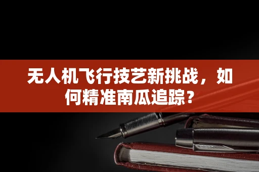 无人机飞行技艺新挑战，如何精准南瓜追踪？