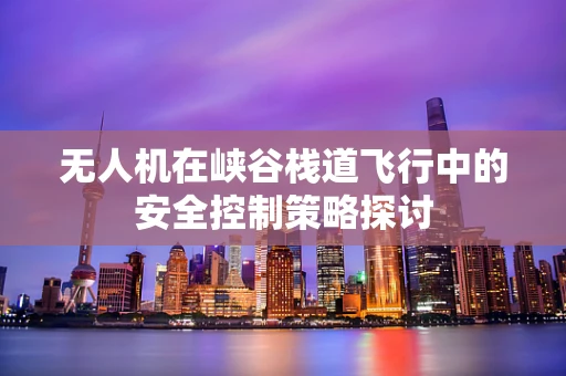 无人机在峡谷栈道飞行中的安全控制策略探讨