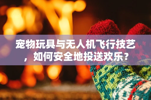 宠物玩具与无人机飞行技艺，如何安全地投送欢乐？