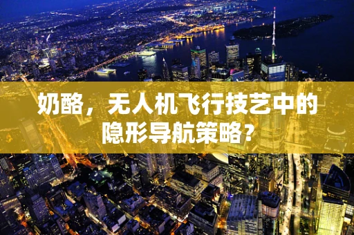 奶酪，无人机飞行技艺中的隐形导航策略？