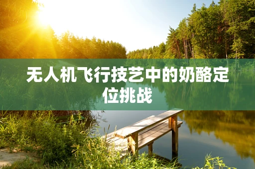 无人机飞行技艺中的奶酪定位挑战