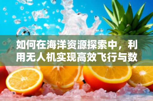 如何在海洋资源探索中，利用无人机实现高效飞行与数据采集？