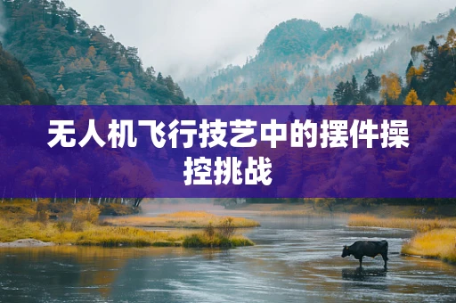 无人机飞行技艺中的摆件操控挑战