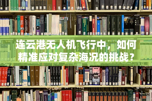 连云港无人机飞行中，如何精准应对复杂海况的挑战？