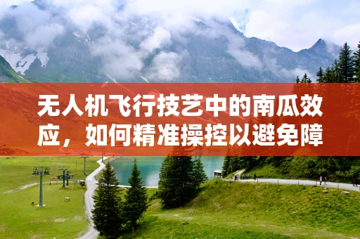 无人机飞行技艺中的南瓜效应，如何精准操控以避免障碍？