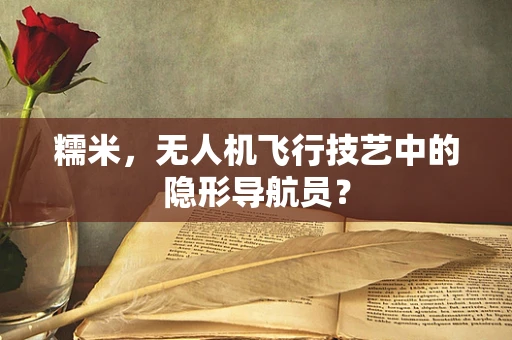 糯米，无人机飞行技艺中的隐形导航员？