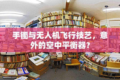 手镯与无人机飞行技艺，意外的空中平衡器？