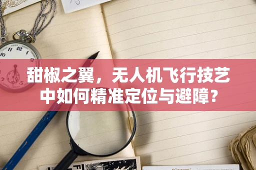 甜椒之翼，无人机飞行技艺中如何精准定位与避障？