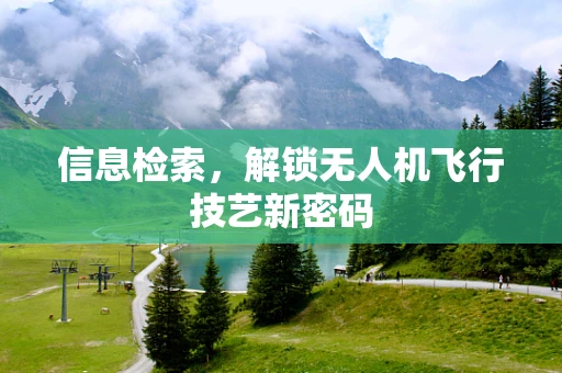 信息检索，解锁无人机飞行技艺新密码