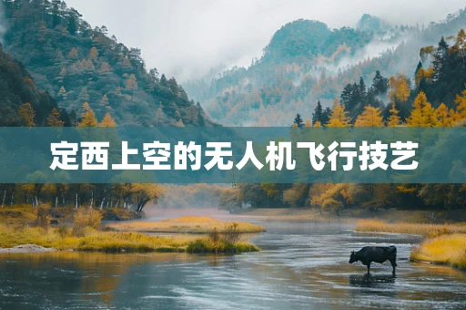 定西上空的无人机飞行技艺