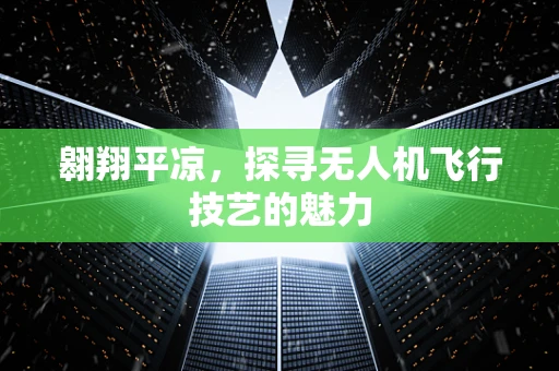 翱翔平凉，探寻无人机飞行技艺的魅力