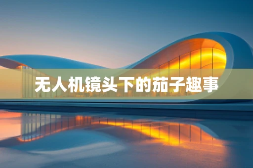 无人机镜头下的茄子趣事
