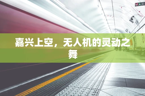 嘉兴上空，无人机的灵动之舞