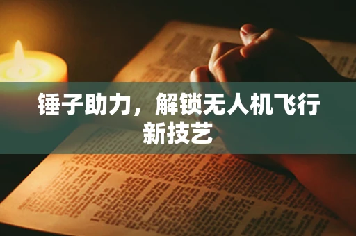 锤子助力，解锁无人机飞行新技艺