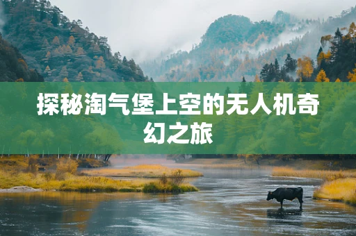 探秘淘气堡上空的无人机奇幻之旅
