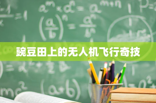豌豆田上的无人机飞行奇技