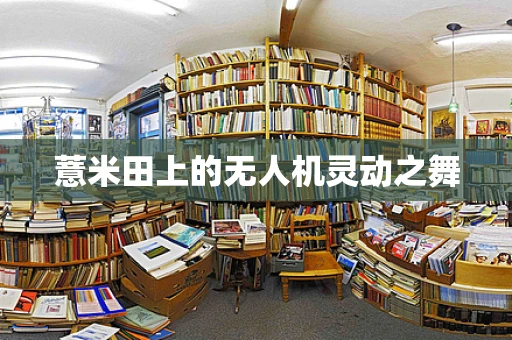 薏米田上的无人机灵动之舞