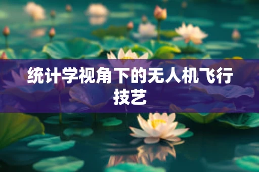 统计学视角下的无人机飞行技艺