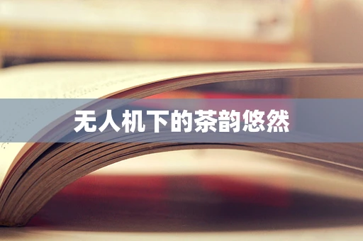 无人机下的茶韵悠然