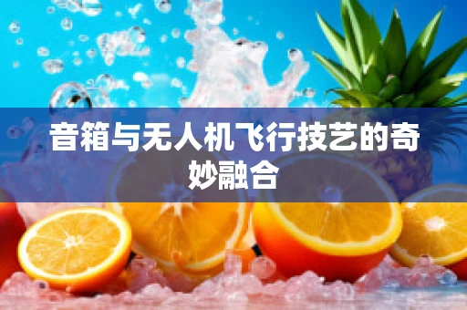 音箱与无人机飞行技艺的奇妙融合